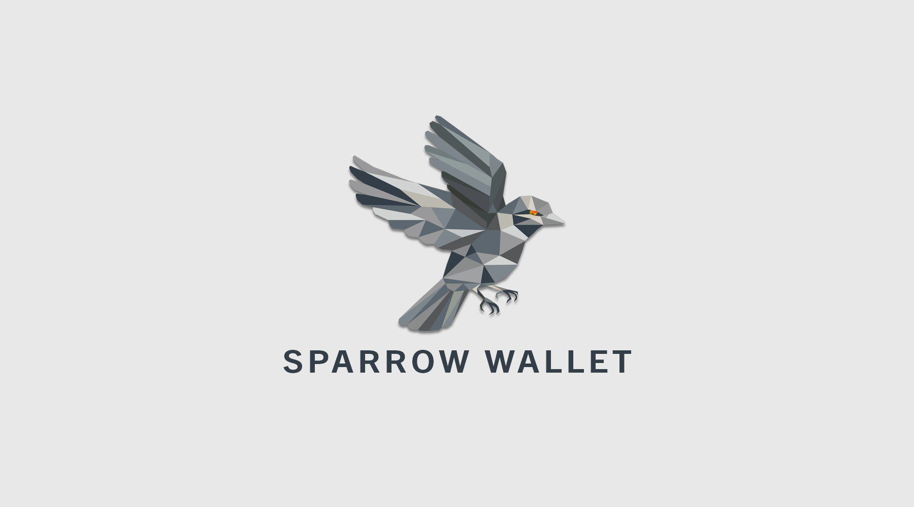 Sparrow: The Bitcoin Specialist Wallet